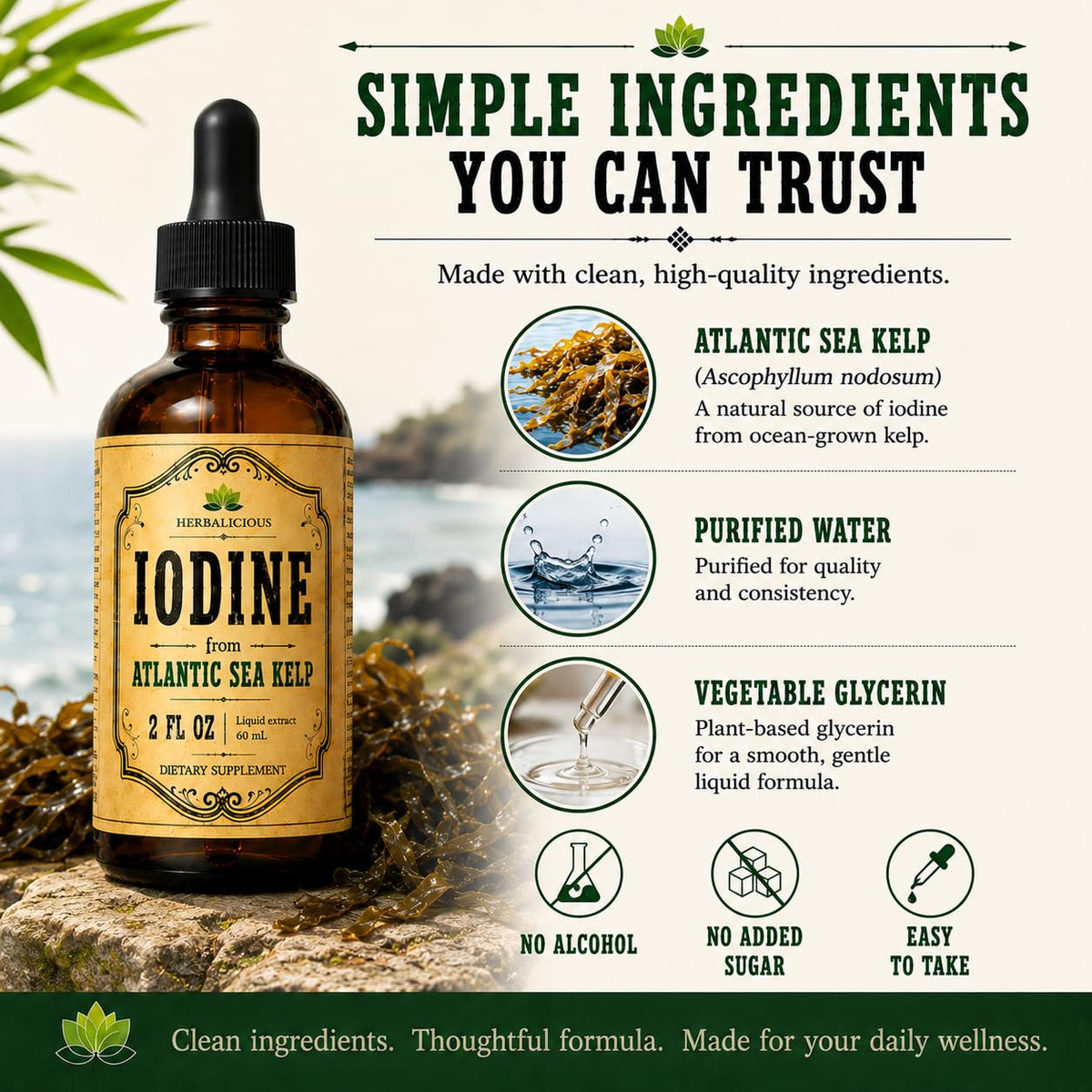 HERBALICIOUS Iodine Drops Natural Sea Kelp Thyroid Support - 2 fl oz - image 3