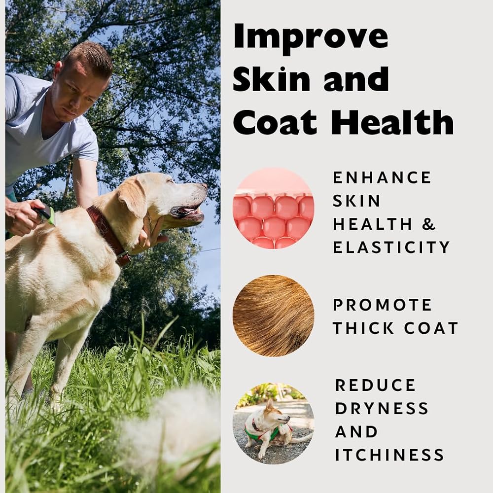 Nature's Diet Beef Collagen Peptides for Dogs & Cats - 16 oz - image 5