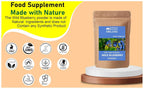 Blessfull Healing Organic Wild Blueberry Powder 100% Pure Natural 200