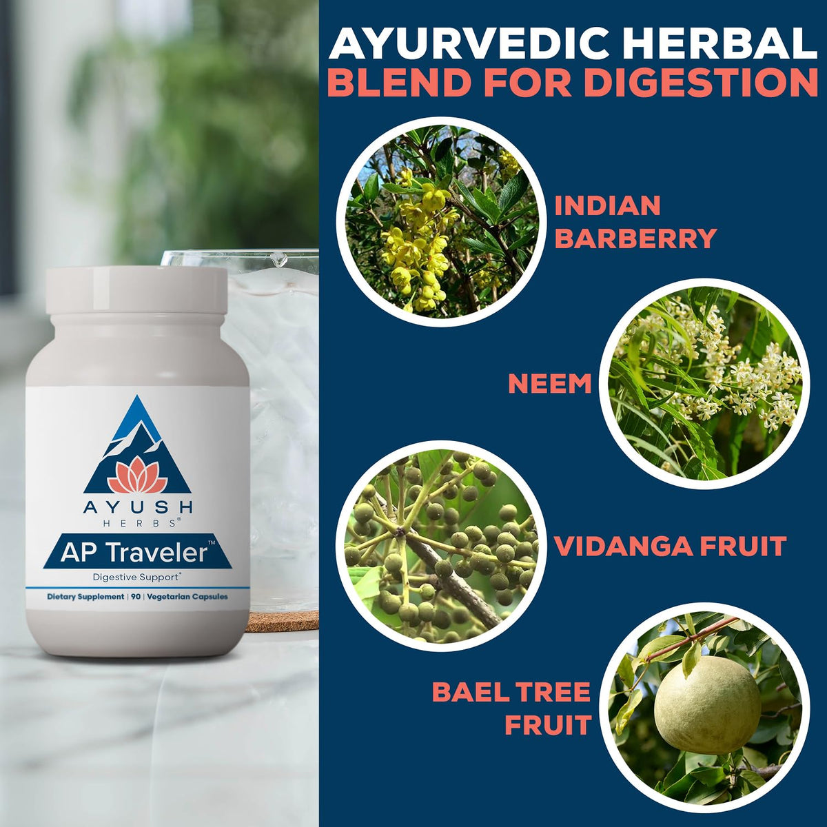 Ayush Herbs AP Traveler Digestive Support - 90 Capsules - image 4