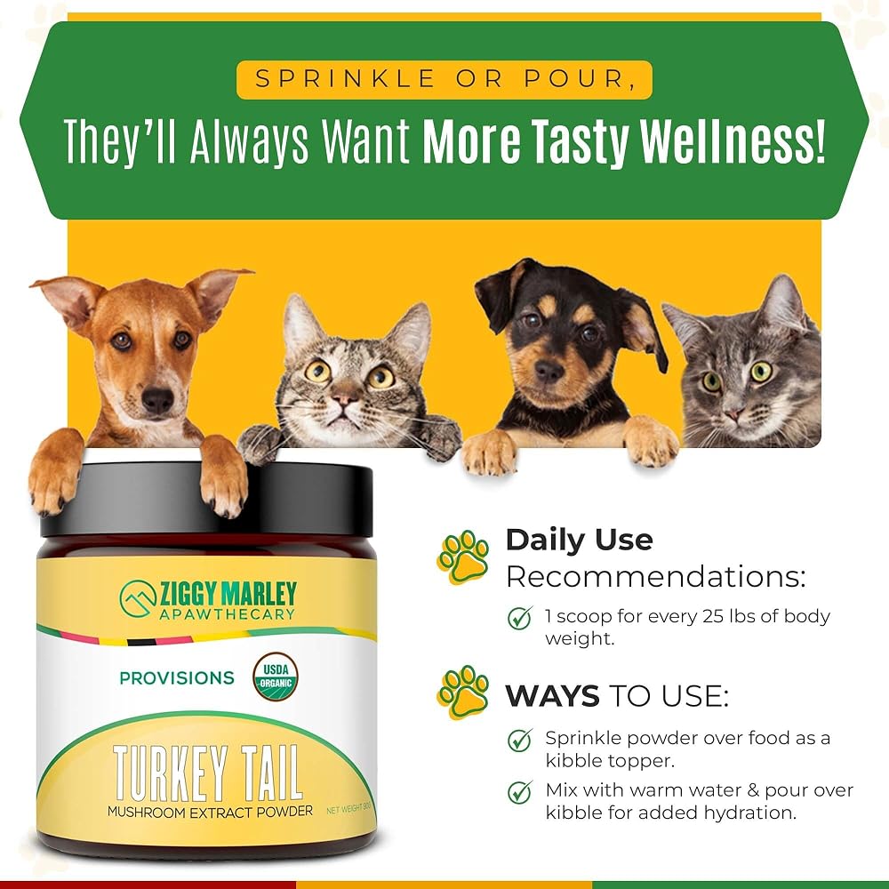 ZMA PETS Turkey Tail Mushroom Powder for Dogs & Cats - 90 Grams - image 5