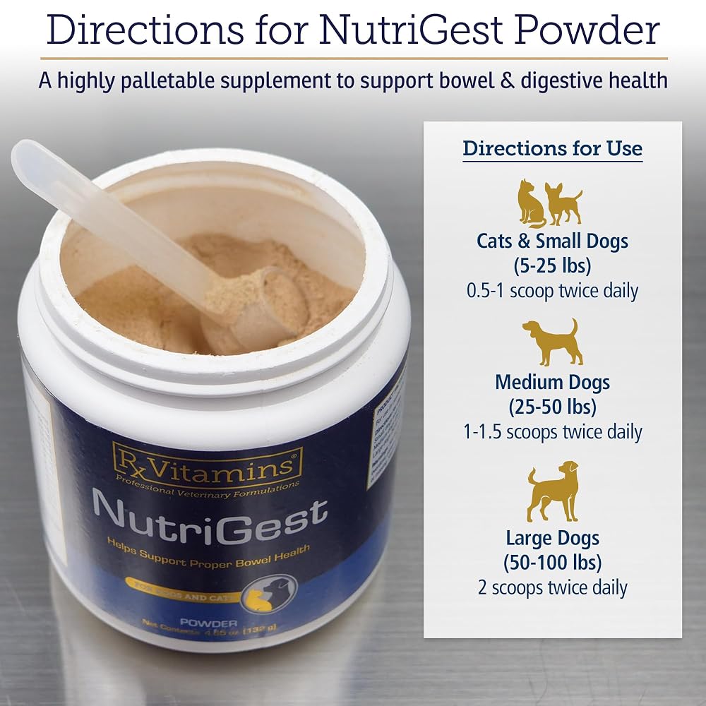 Rx Vitamins NutriGest Probiotic Powder for Cats & Dogs - 4.65oz - image 6