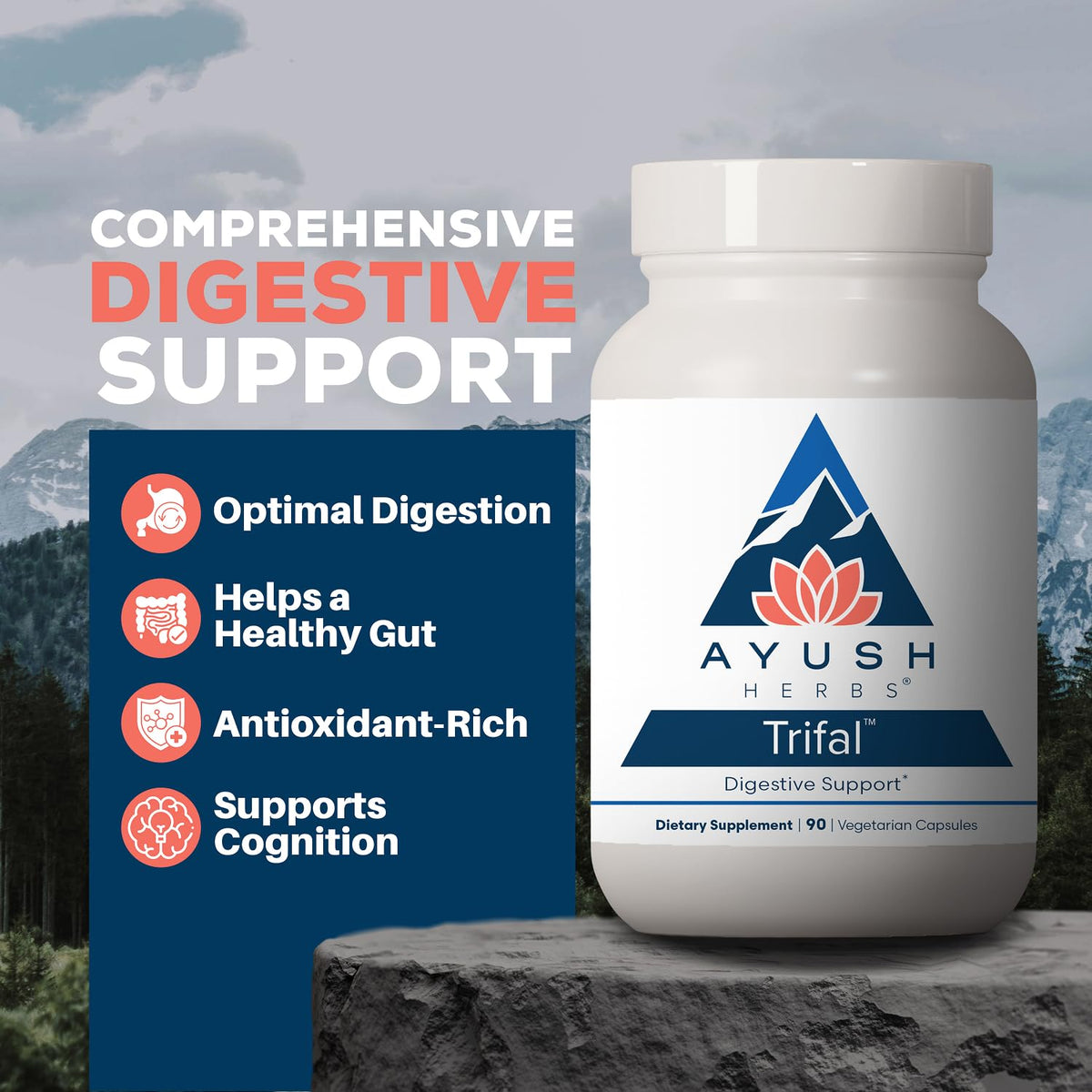 Ayush Herbs Trifal Digestive Support with Amla - 90 Capsules - image 2