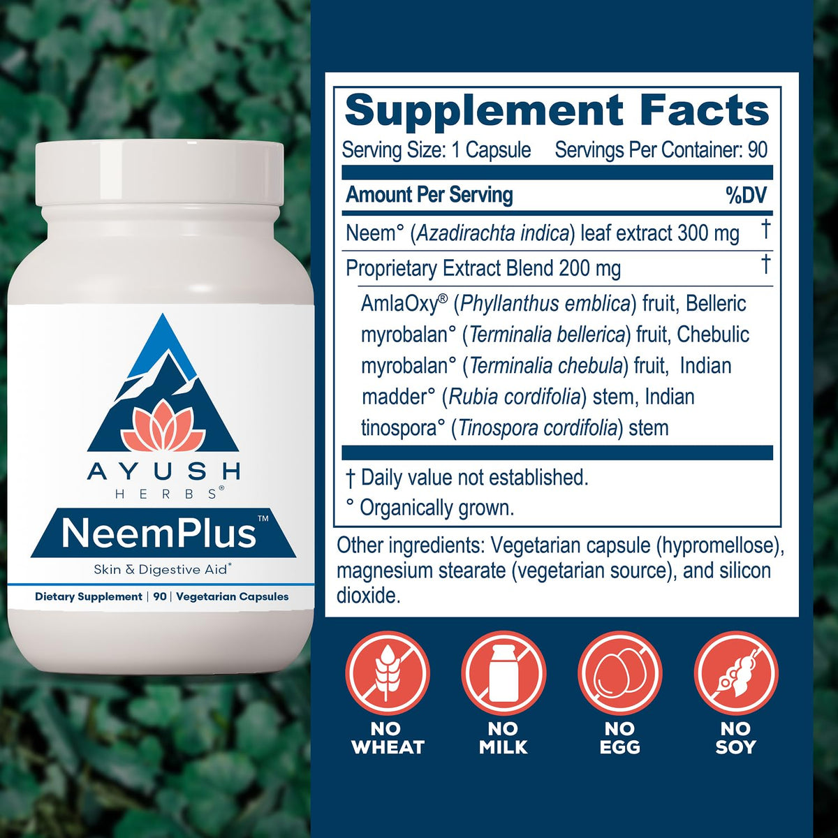 Ayush Herbs Neem Plus Digestive Health - 90 Capsules - image 3
