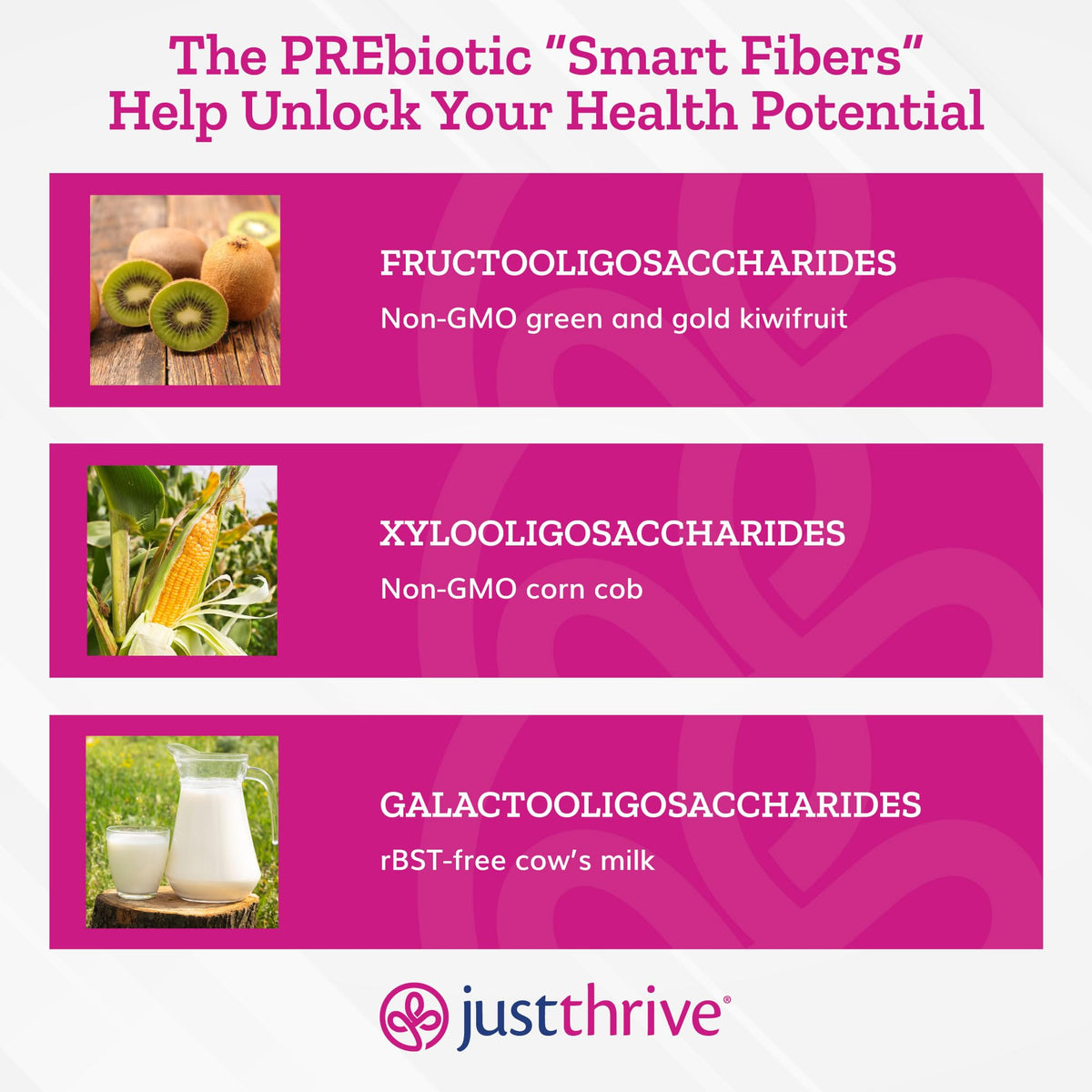 Just Thrive PREbiotic Powder for Digestive & Gut Health - 150g - image 7