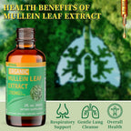 LETSCOL Organic Mullein Drops for Lung Cleanse