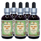 Herbal Terra LLC Gu Sui Bu, Drynaria (Drynaria Fortunei) Tincture