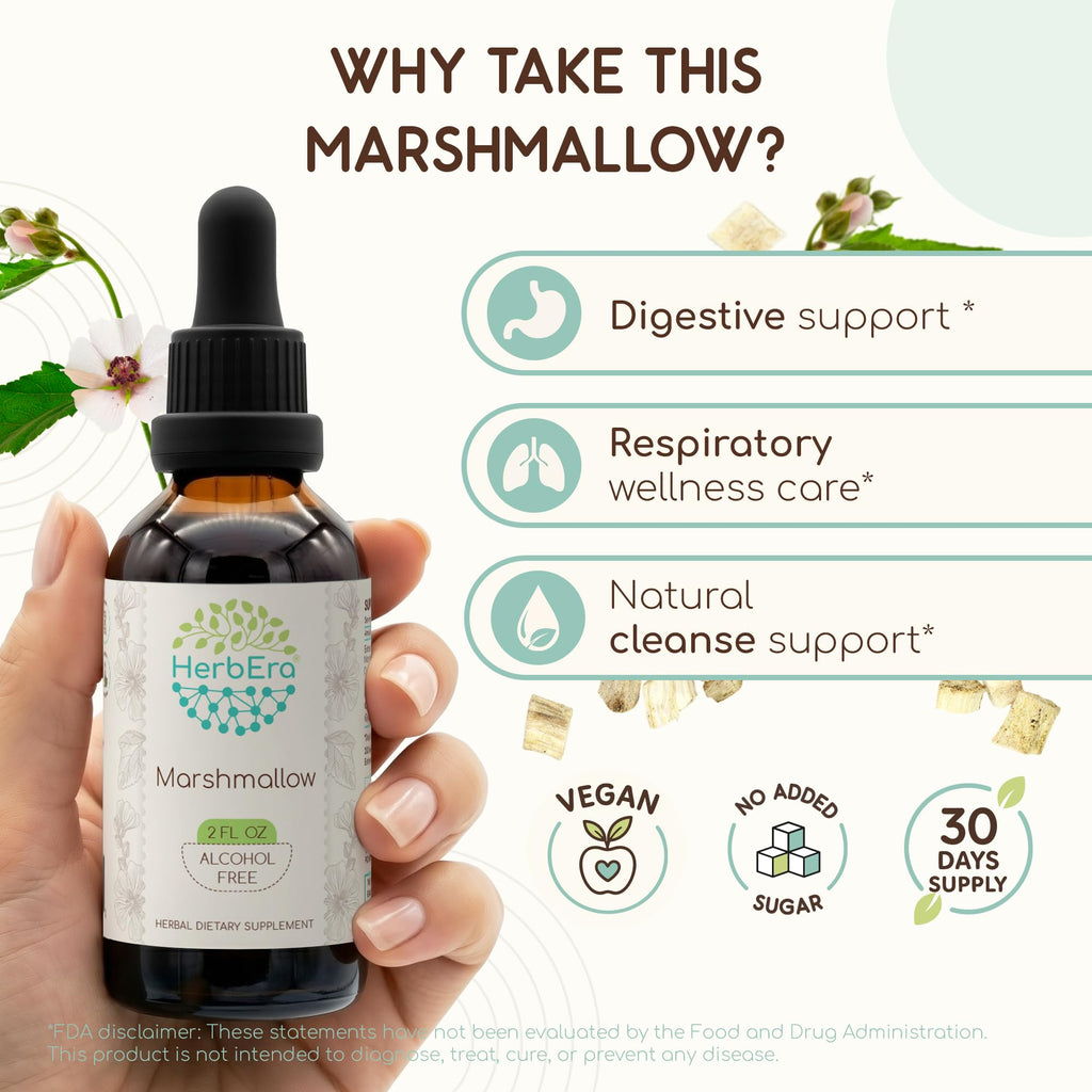 HerbEra Marshmallow Alcohol-Free Herbal Extract Tincture