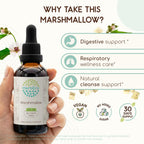 HerbEra Marshmallow Alcohol-Free Herbal Extract Tincture