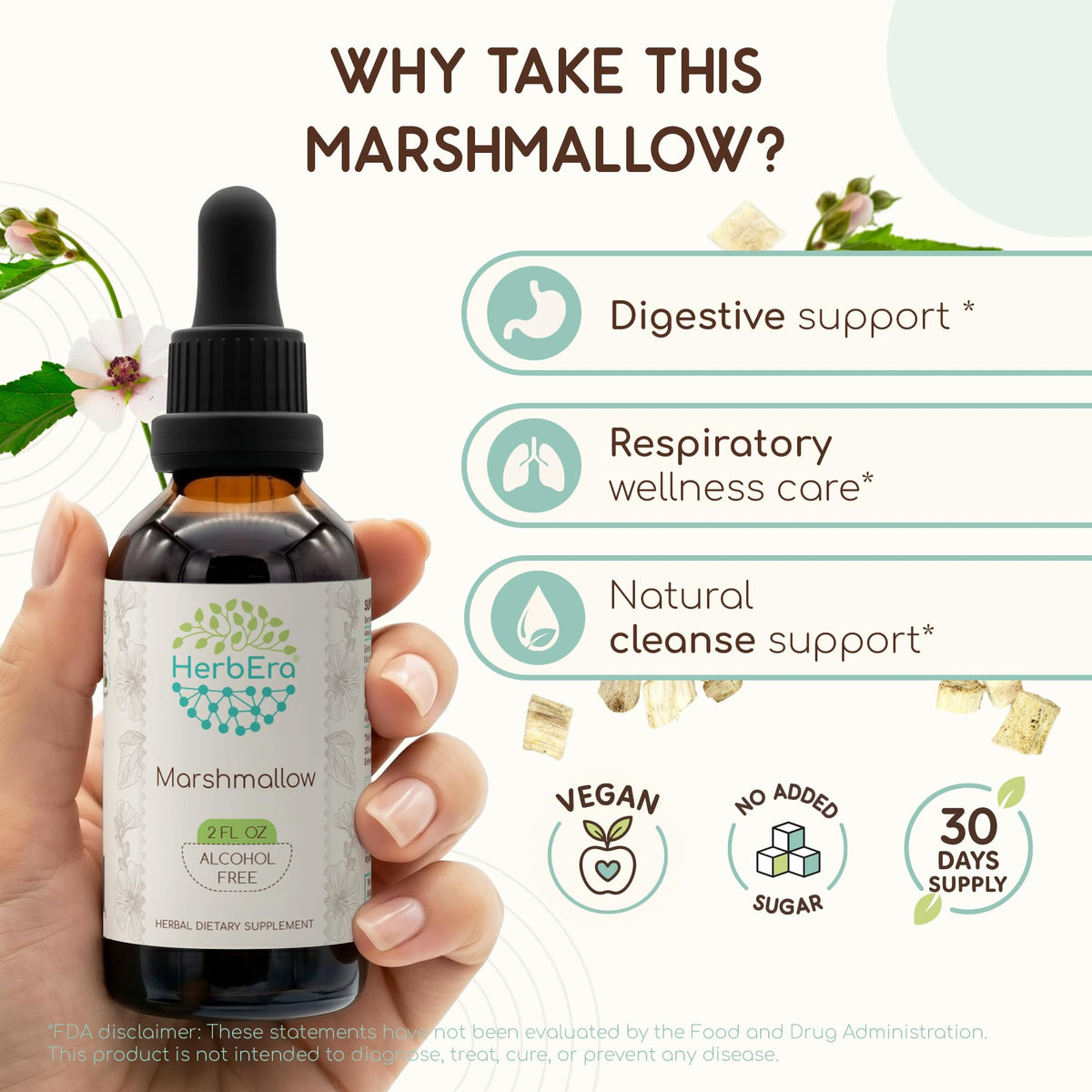 HerbEra Marshmallow Alcohol-Free Herbal Extract Tincture