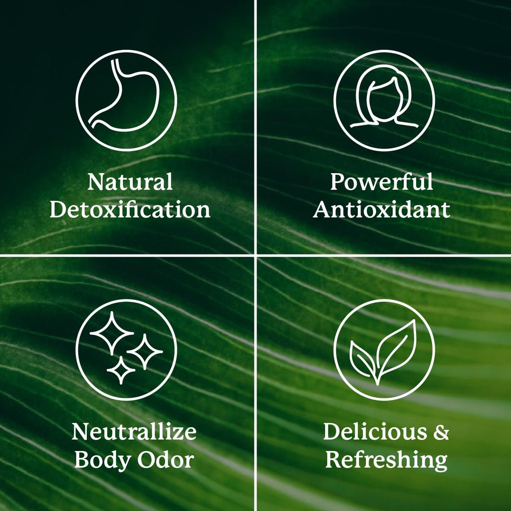 Nature's Sunshine Chlorophyll - 60 Softgels - image 5