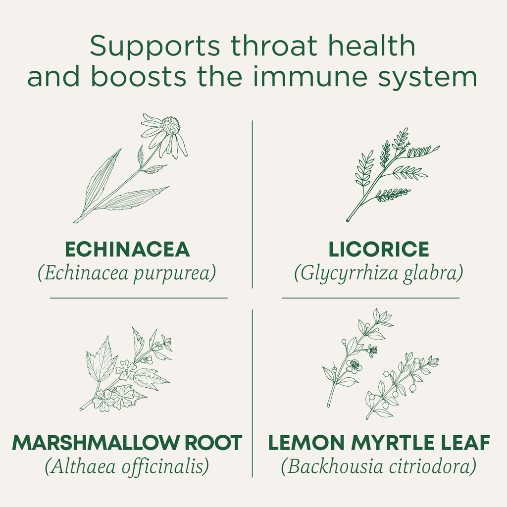 Traditional Medicinals Organic Throat Coat Lemon Echinacea Tea - 16 Teabags - image 3