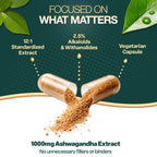 Natures Elements Ashwagandha Root 12:1 Extract 1000mg - 180 Vegetarian Capsules - image 6