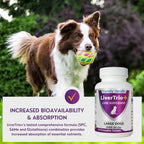 LiverTrio+ Comprehensive Liver Support for Large Dogs - 30 Tablets - image 10