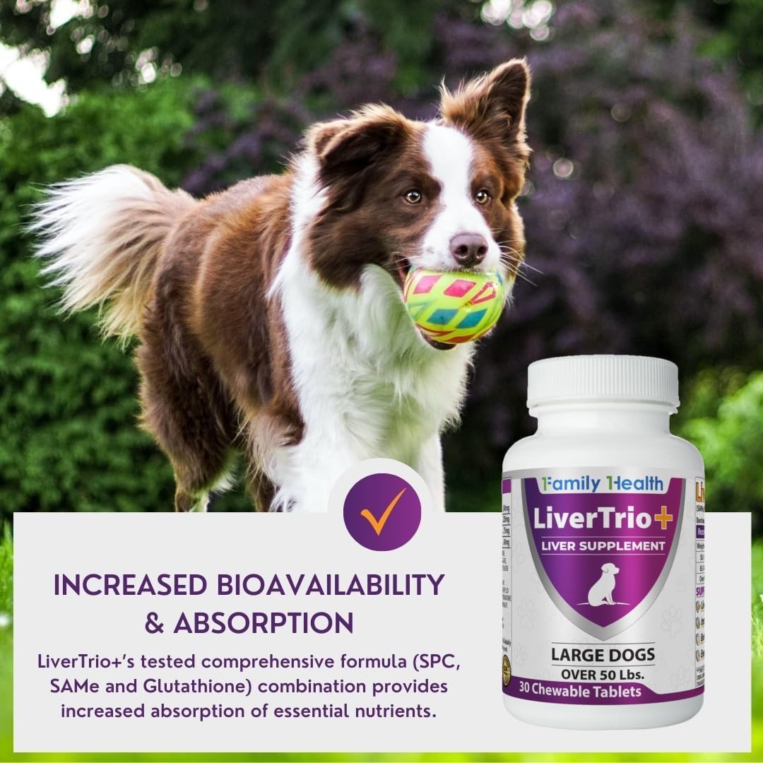 LiverTrio+ Comprehensive Liver Support for Large Dogs - 30 Tablets - image 10