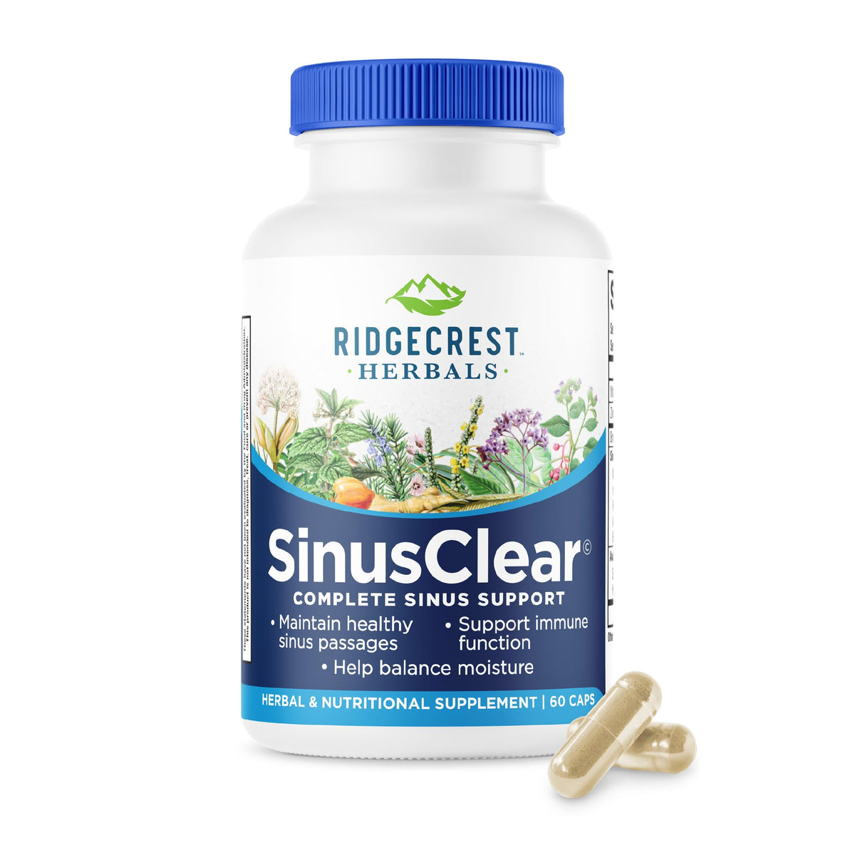 RidgeCrest Herbals SinusClear Mullein Sinus Support - 60 Capsules