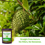 HERBALISTA Soursop Leaf Powder 100% Pure Graviola - 5oz - image 4