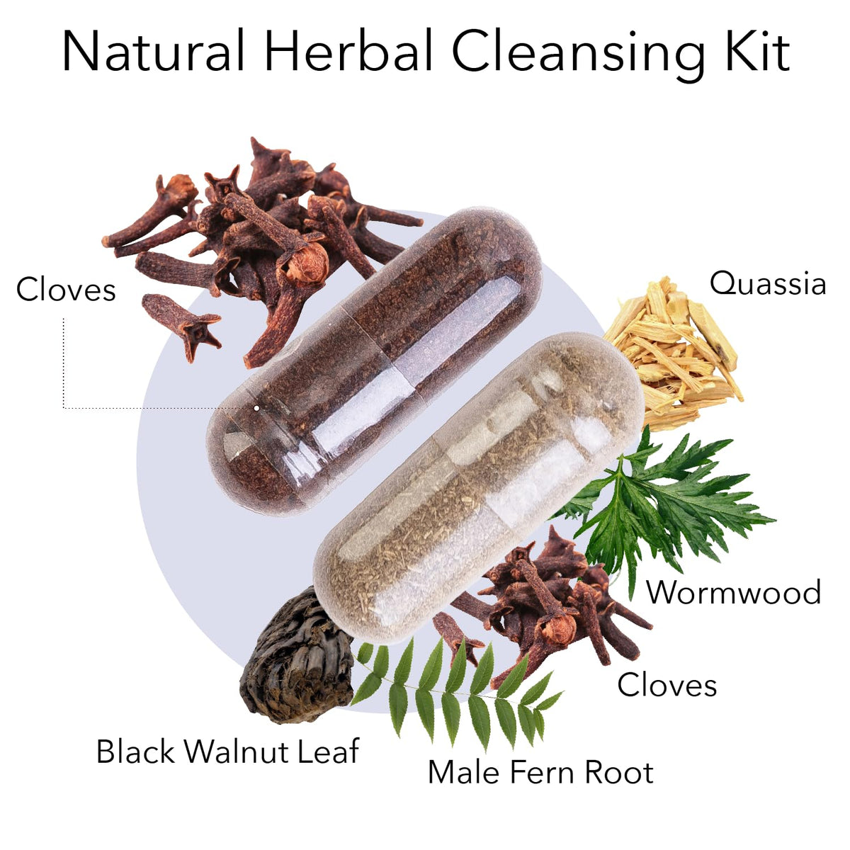 Kroeger Herb Products Wormwood Herb Supplement Kit - 1 Pack - image 2