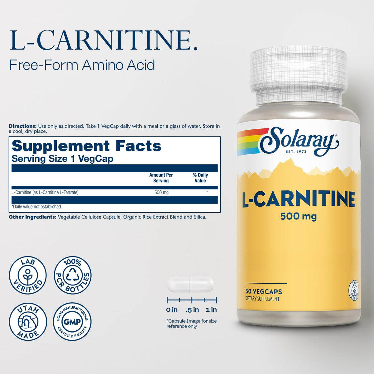 SOLARAY L-Carnitine 500 mg