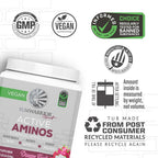 Sunwarrior Amino Acids Amino Energy Powder