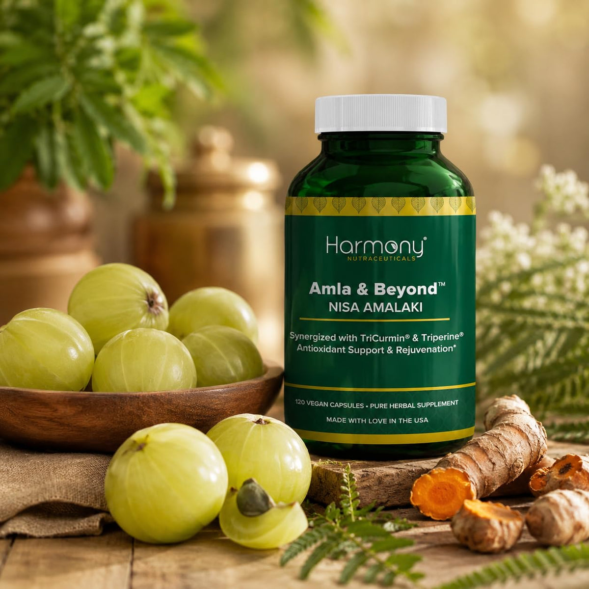 Harmony Nutraceuticals Amla & Beyond Ayurvedic Herbal Formula - image 10
