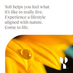 Yoli Resolve PhytoFiber with Apple Cider Vinegar - 60 Capsules - image 9