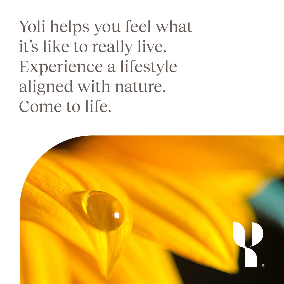 Yoli Resolve PhytoFiber with Apple Cider Vinegar - 60 Capsules - image 9