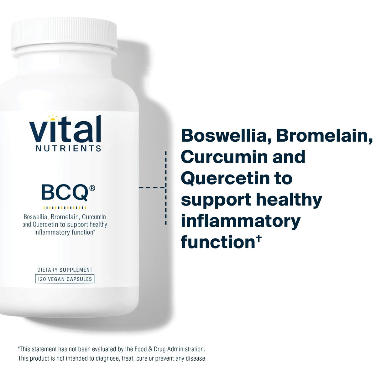 Vital Nutrients BCQ, Vegan