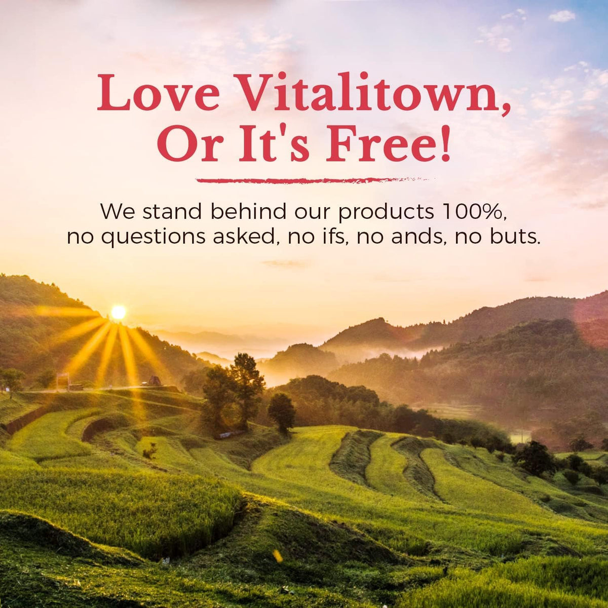 Vitalitown Women's Probiotics 200 Billion CFUs - 60 Capsules - image 9