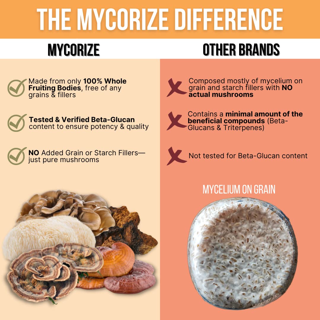 Mycorize Rize 5 Mushroom Supplement Immune Support - 90 Capsules - image 5