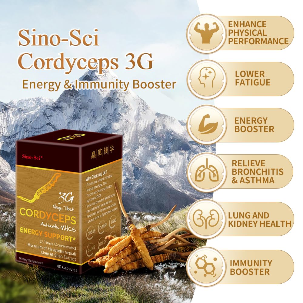 Sino-Sci Cordyceps 3G Energy Booster Capsules - 40 Capsules - image 4