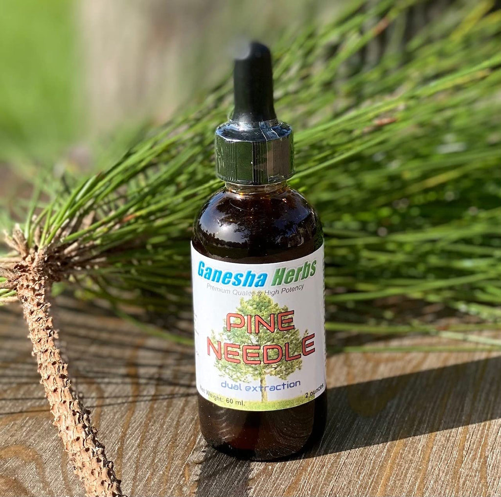 Ganesha Herbs Pine Needle Liquid Tincture Immune Support - 2 Oz - image 8