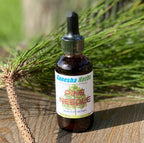 Ganesha Herbs Pine Needle Liquid Tincture Immune Support - 2 Oz - image 8