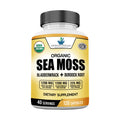 American Standard Supplements Organic Sea Moss Bladderwrack Burdock Root