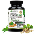 ecostream Naturals Advanced Phytosterols Beta-Sitosterol - 90 Capsules