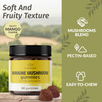 HERBAMAMA Immune Support Mushroom Gummies - 60 Chews - image 4