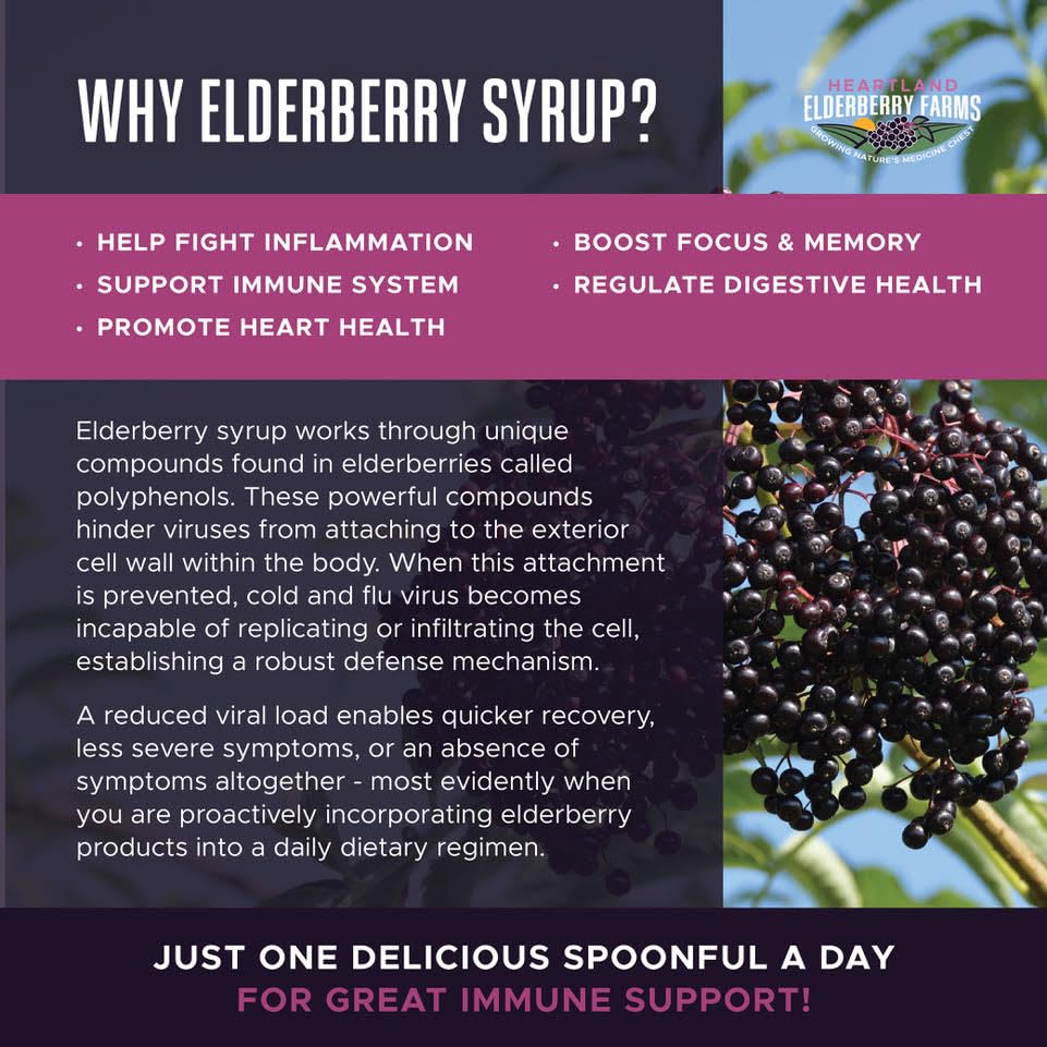 Heartland Elderberry Farms Elderberry Syrup - Zero Water Added Highly