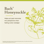 Bach Flower Remedies Honeysuckle Essence - 20mL Dropper - image 3