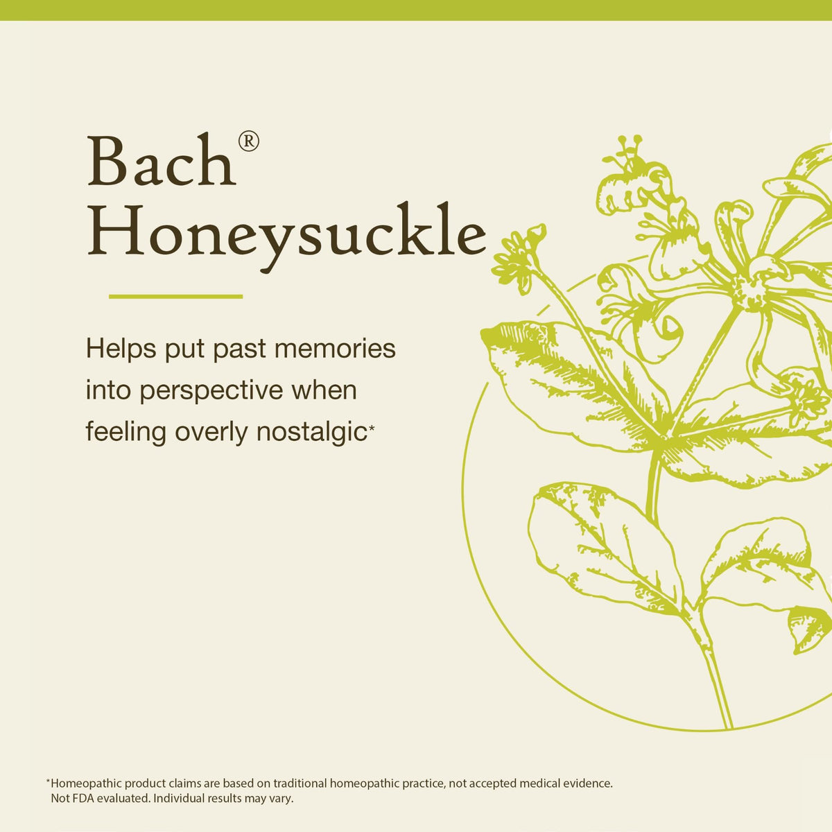 Bach Flower Remedies Honeysuckle Essence - 20mL Dropper - image 3