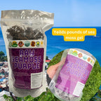 Sweet Sunnah Purple Sea Moss Wildcrafted - 8 oz - image 6