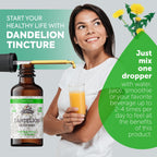 Florida Herbs Dandelion Root Tincture Organic Extract - 2 oz - image 3