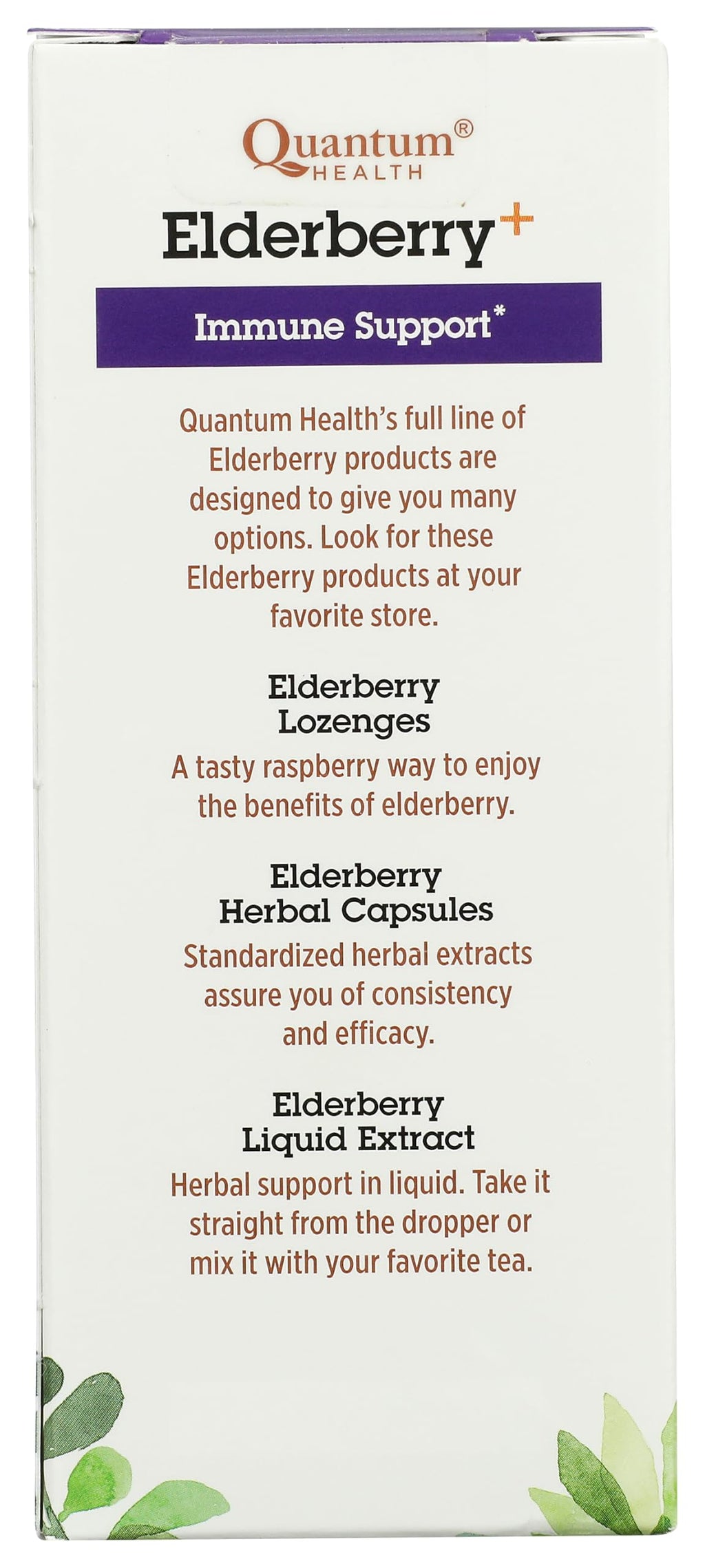 Quantum Elderberry-C Syrup - 4 oz - image 2