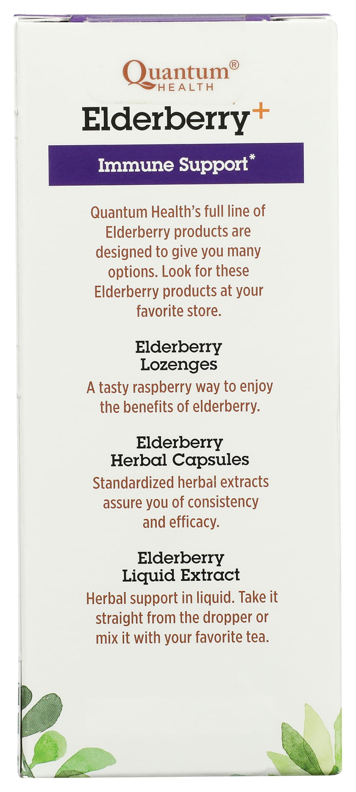 Quantum Elderberry-C Syrup - 4 oz - image 2
