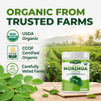 PURA VIDA MORINGA Organic Moringa Powder - 8 oz - image 10