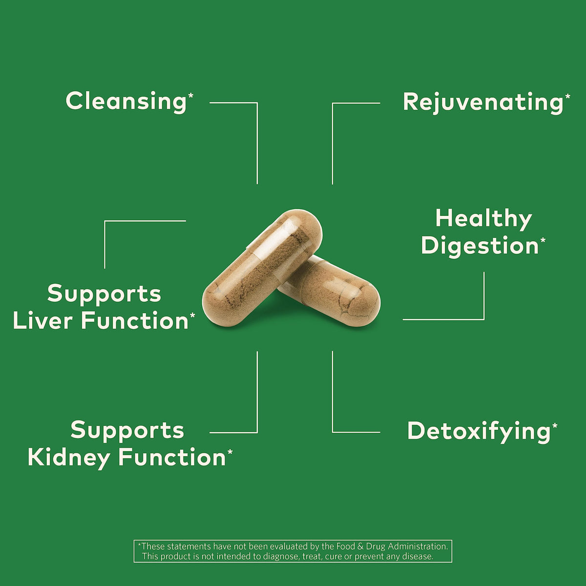 ORGANIC INDIA Liver and Kidney Cleanse Detox Repair - image 2