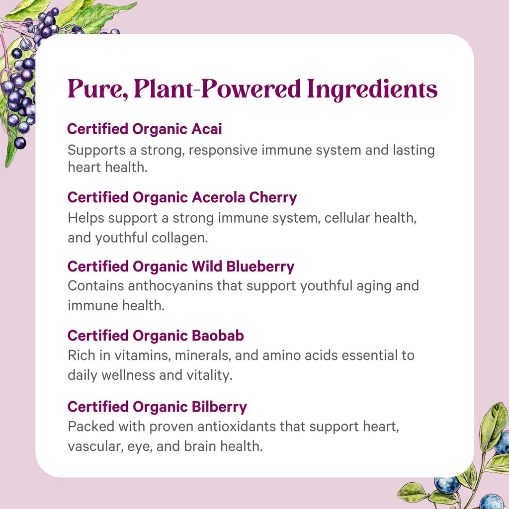 PURE SYNERGY Berry Power Organic Berry & Fruit Powder - 5.3 oz - image 5
