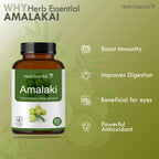 Herb Essential Amla Tablets 500mg - 100 Tablets - image 2