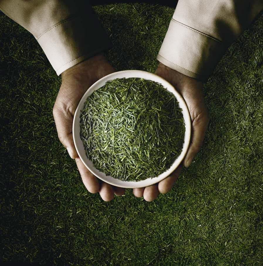 ITO EN Green Tea Bags - image 5