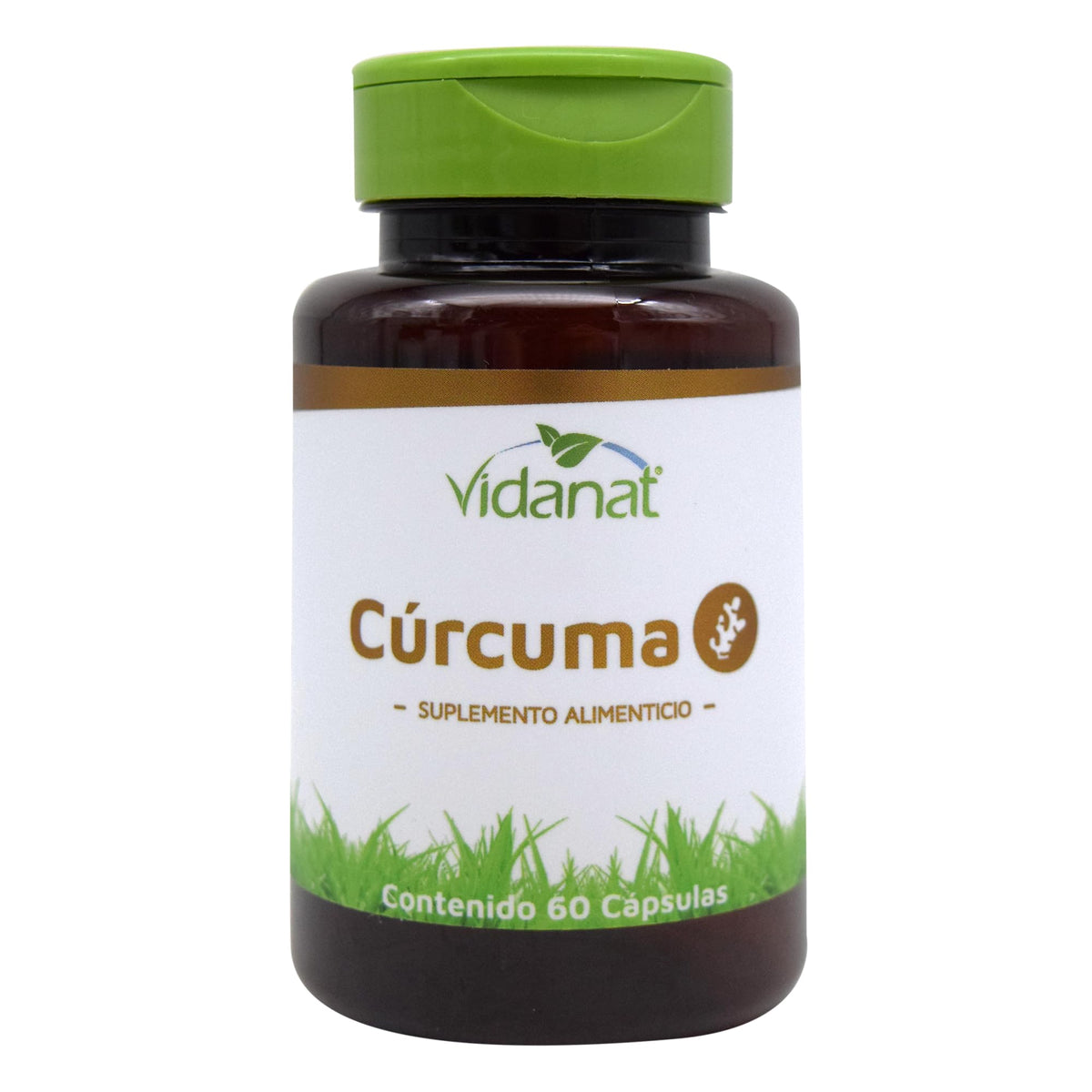 Vidanat Turmeric Curcumin Joint Support & Immune Health - 60 Capsules - image 2