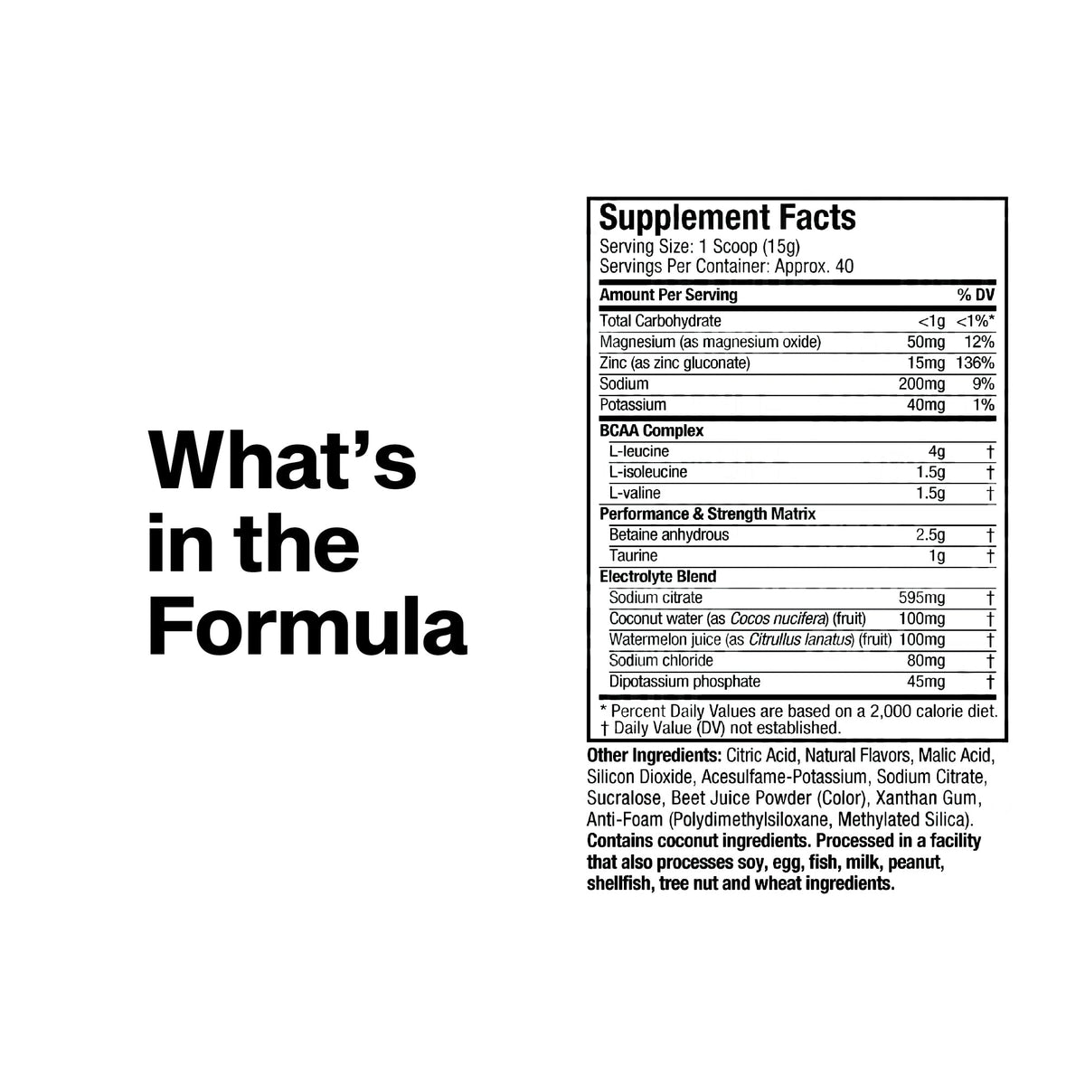 MuscleTech BCAA Amino Acids + Electrolyte Powder